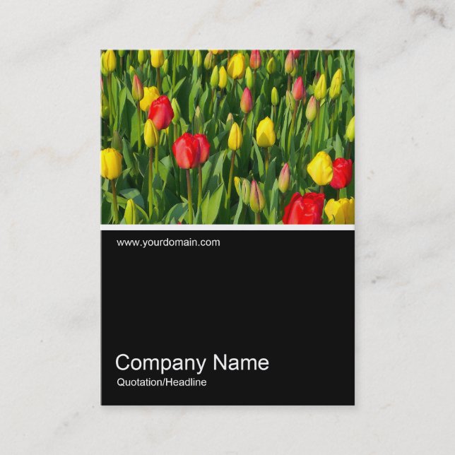 Half&Half Photo 0151 - Colourful Tulips II Business Card (Front)