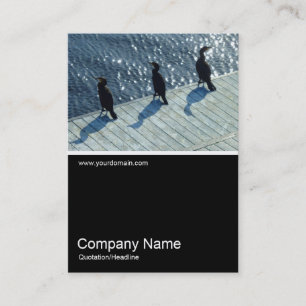 Half&Half Photo 0179 - Three Cormorants Business Card