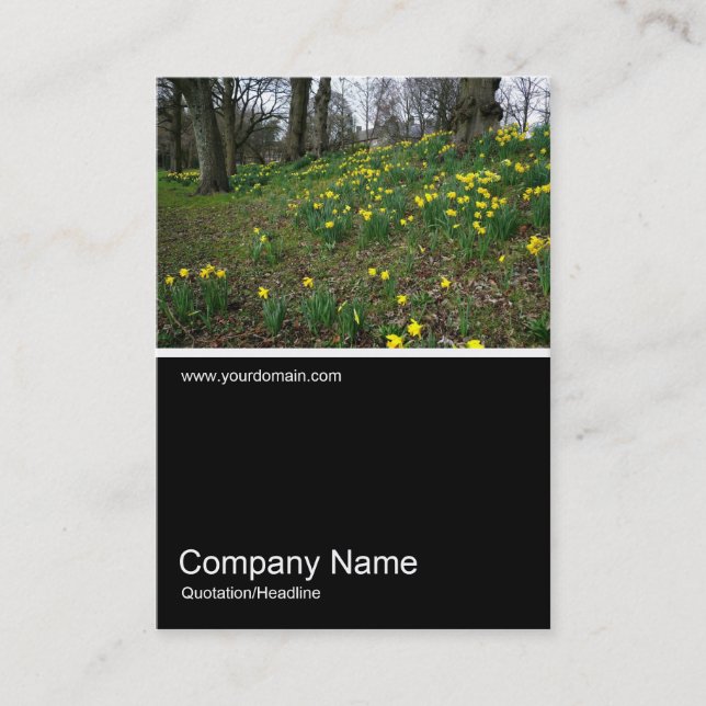 Half&Half Photo 021 - Daffodils Business Card (Front)