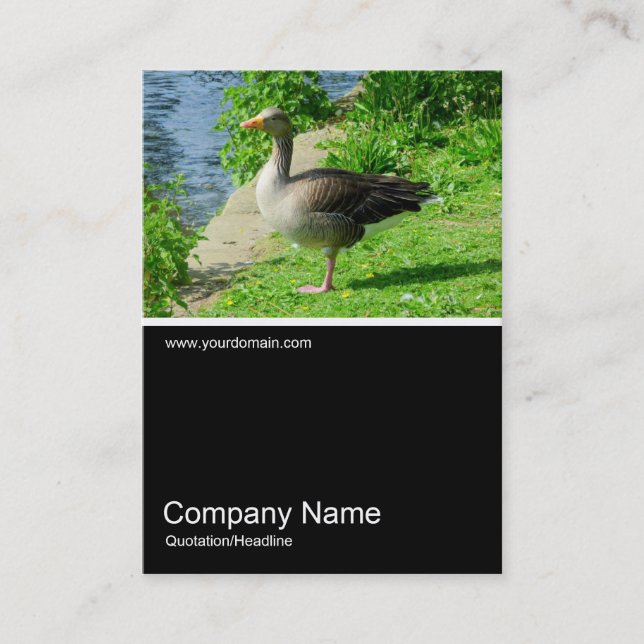 Half&Half Photo 0224 - Greylag Goose Business Card (Front)