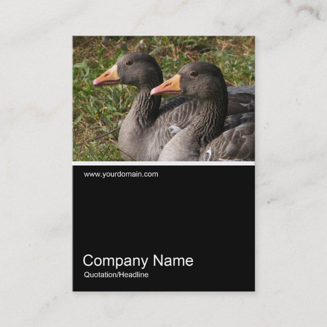 Half&Half Photo 0240 - Greylag Geese Business Card (Front)