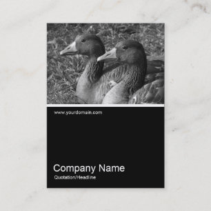 Half&Half Photo 0241 - Greylag Geese B&W Business Card