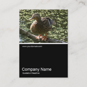 Half&Half Photo 0245 - Happy Duck Business Card