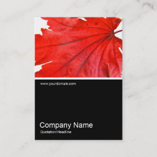 Half&Half Photo 0247 - Japanese Maple Leaf Business Card