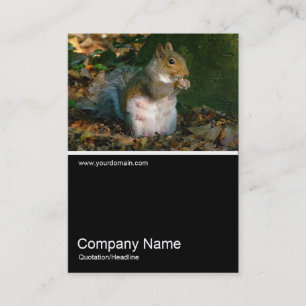 Half&Half Photo 0251 - Grey Squirrel Business Card