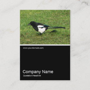 Half&Half Photo 0265 - European Magpie Business Card