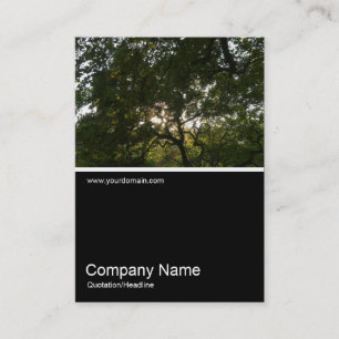Half&Half Photo 0287 - Japanese Branches 04 Business Card