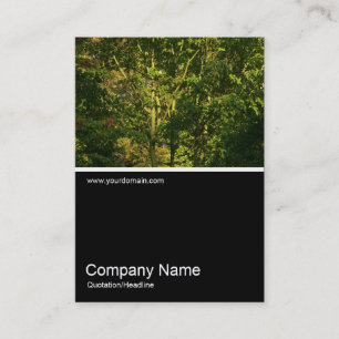 Half&Half Photo 0288 - Japanese Branches 05 Business Card