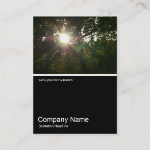 Half&Half Photo 0290 - Japanese Branches 07 Business Card