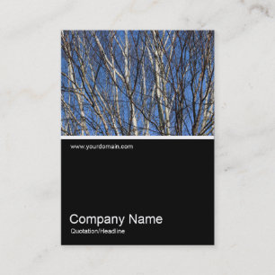 Half&Half Photo 0302 - Silver Birch Branches Business Card