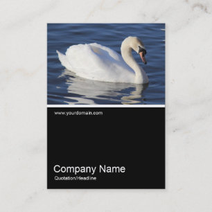 Half&Half Photo 0306 - Mute Swan Business Card