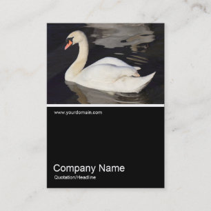 Half&Half Photo 0307 - Mute Swan Business Card