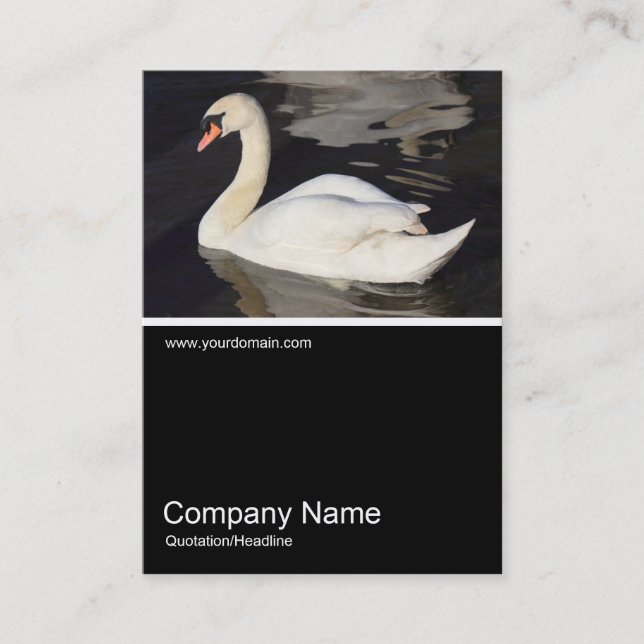 Half&Half Photo 0307 - Mute Swan Business Card (Front)