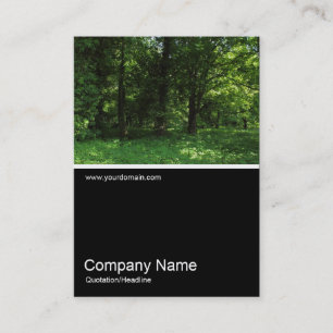 Half&Half Photo 0323 - Spring in the Woods 02 Business Card