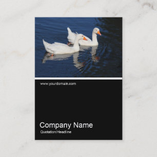 Half&Half Photo 0370 - Emden Geese Business Card