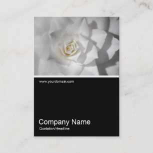 Half&Half Photo 0383 - White Camellia Business Card