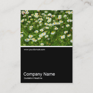 Half&Half Photo 0385 - Daisy Meadow Business Card