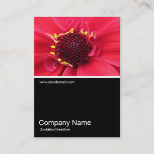 Half&Half Photo 0388 - Dahlia Business Card