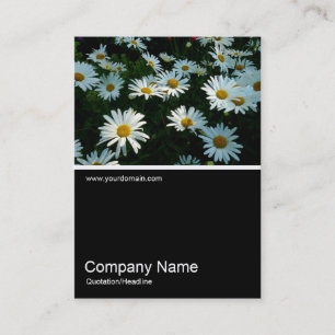 Half&Half Photo 056 - Daisies Business Card