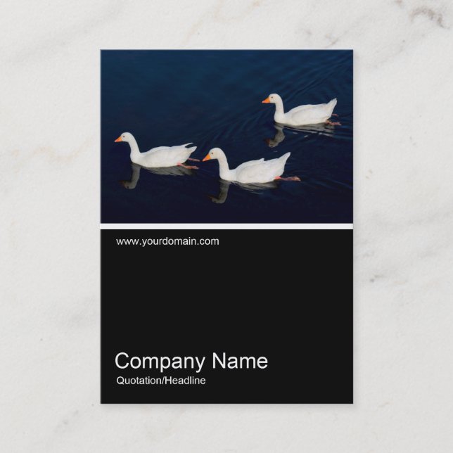 Half&Half Photo - Three Emden Geese Business Card (Front)