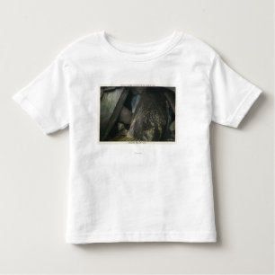 Half Hidden Falls View of Judgment Hall of Plato Toddler T-Shirt