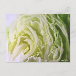 Half Lettuce 1 Postcard