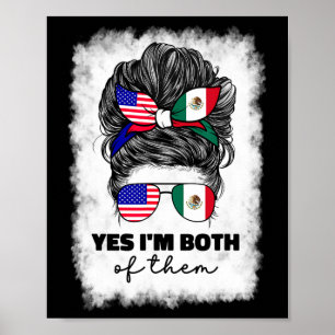 Half Mexican And American Mexico America Usa Flag  Poster