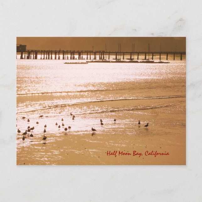 Half Moon Bay Postcard (Front)