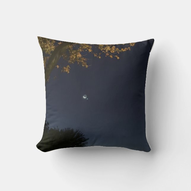 Half Moon Cushion (Front)