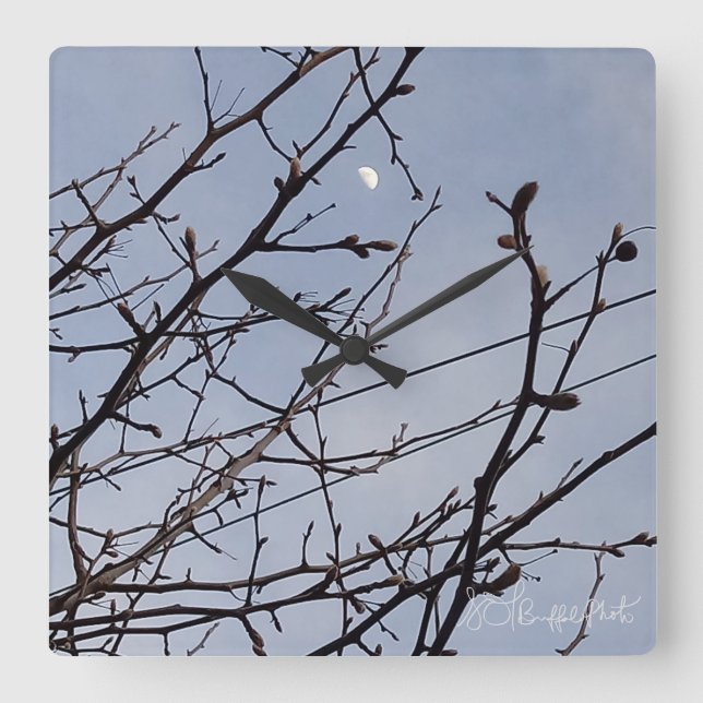 Half Moon in Daylight  Square Wall Clock (Front)
