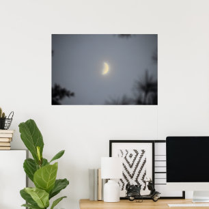 Half Moon in the Mist, Poster