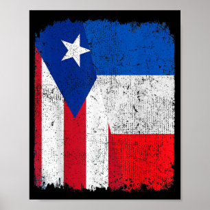 Half Puerto Rican Half French Flag Heritage Pride Poster