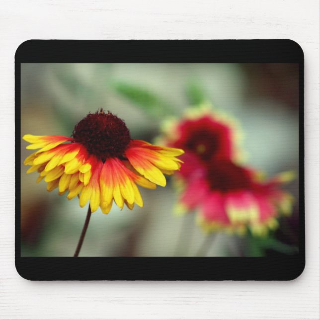 halfdaisy mousepad (Front)