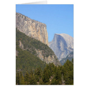 Halfdome Yosemite Forests