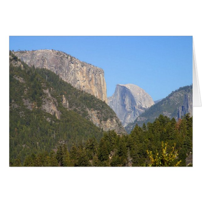Halfdome Yosemite Forests (Front Horizontal)