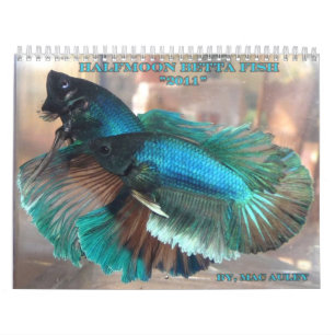 Halfmoon Betta Fish Calendar