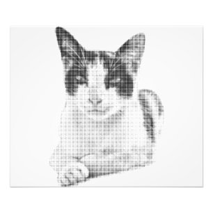 Halftone Cat Photo Print