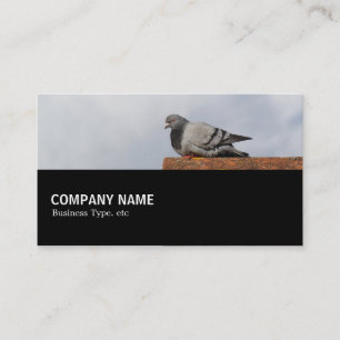 Halfway 0151 - Good Morning Pigeon Business Card