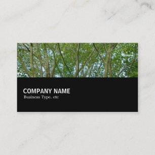 Halfway 080 - Japanese Maple Business Card