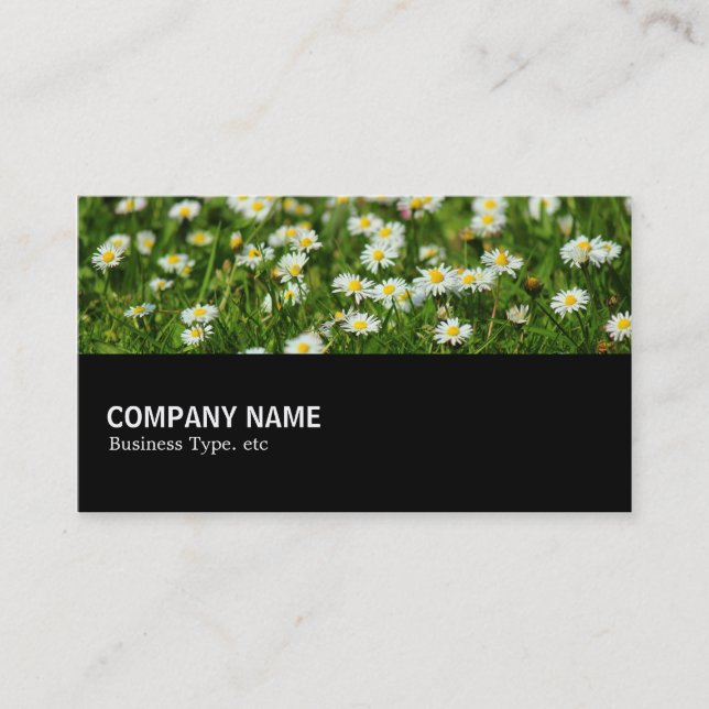 Halfway - Daisy Meadow Business Card (Front)