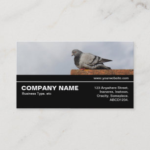 Halfway V3 041 - Good Morning Pigeon Business Card