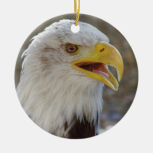 Haliaeetus leucocephalus ceramic tree decoration