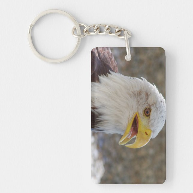 Haliaeetus leucocephalus key ring (Front)