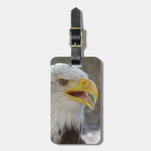 Haliaeetus leucocephalus luggage tag