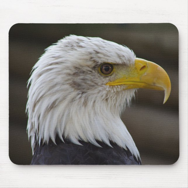 Haliaeetus leucocephalus mouse pad (Front)
