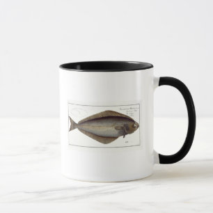 Halibut (Pleuronectes Hippoglossus) plate XLVII fr Mug
