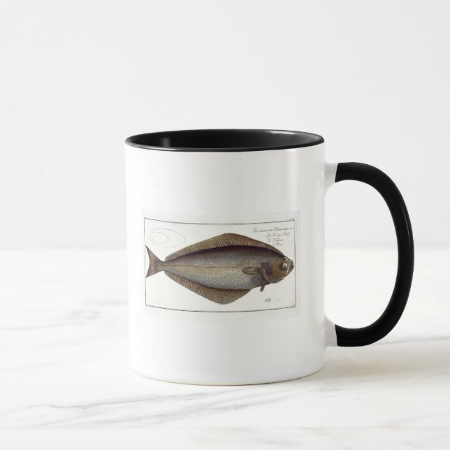 Halibut (Pleuronectes Hippoglossus) plate XLVII fr Mug (Right)