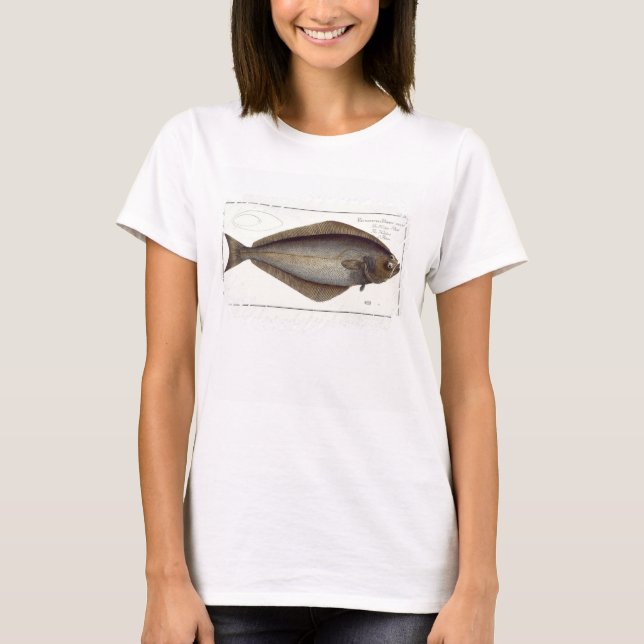 Halibut (Pleuronectes Hippoglossus) plate XLVII fr T-Shirt (Front)