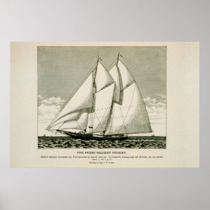 Halibut schooner poster