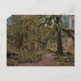 Hall of Mosses Postcard
